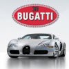 Bugatti Veyron: nicht nur Kaufen ist teuer!